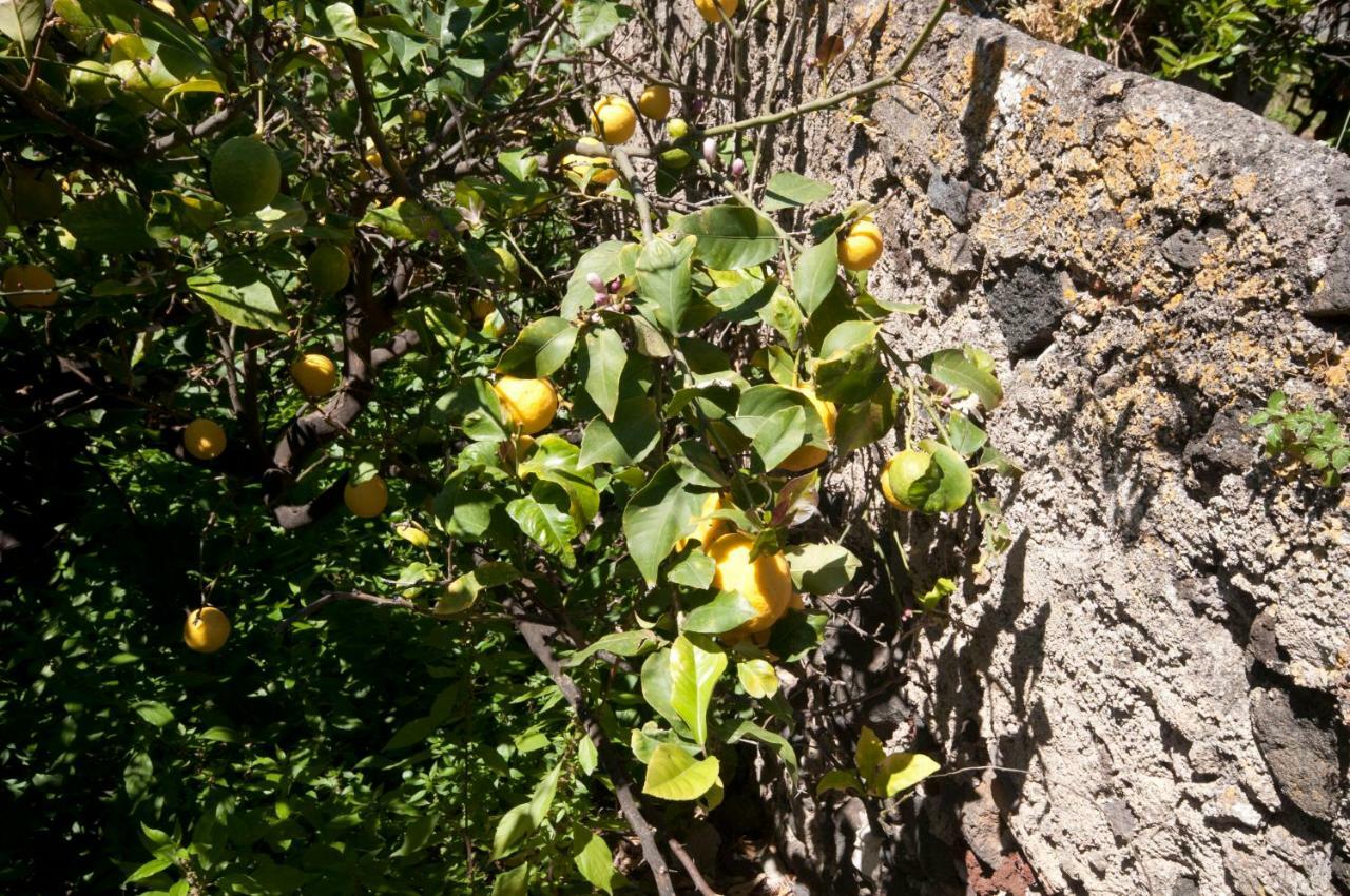 Casa Vacanze Dell'Avvocato Ξενοδοχείο Malfa  Εξωτερικό φωτογραφία